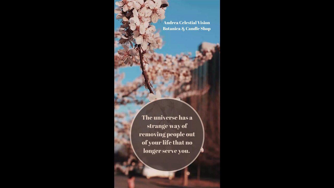 Something to inspire you today