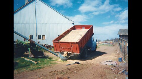 Using Old Equipment is How We Unloaded and Ground Grain for Cattle