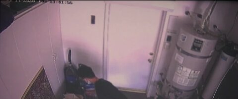 Grocery delivery burglar caught on camera stealing from Summerlin home