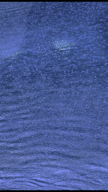 30 Seconds - You’re welcome…