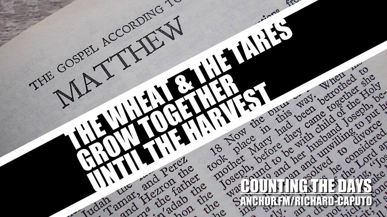 The Wheat & The Tares Grow Together Until The Harvest