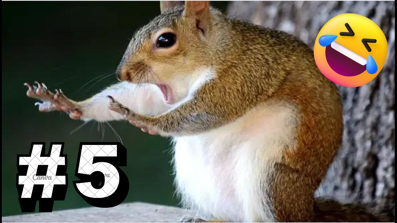 Funny Animal Fail Compilation #5 | Try Not To Laugh😂😂