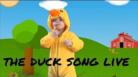 The Duck Song