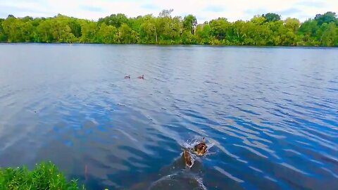 Flying over the Griggs Reservoir (Wide Version)