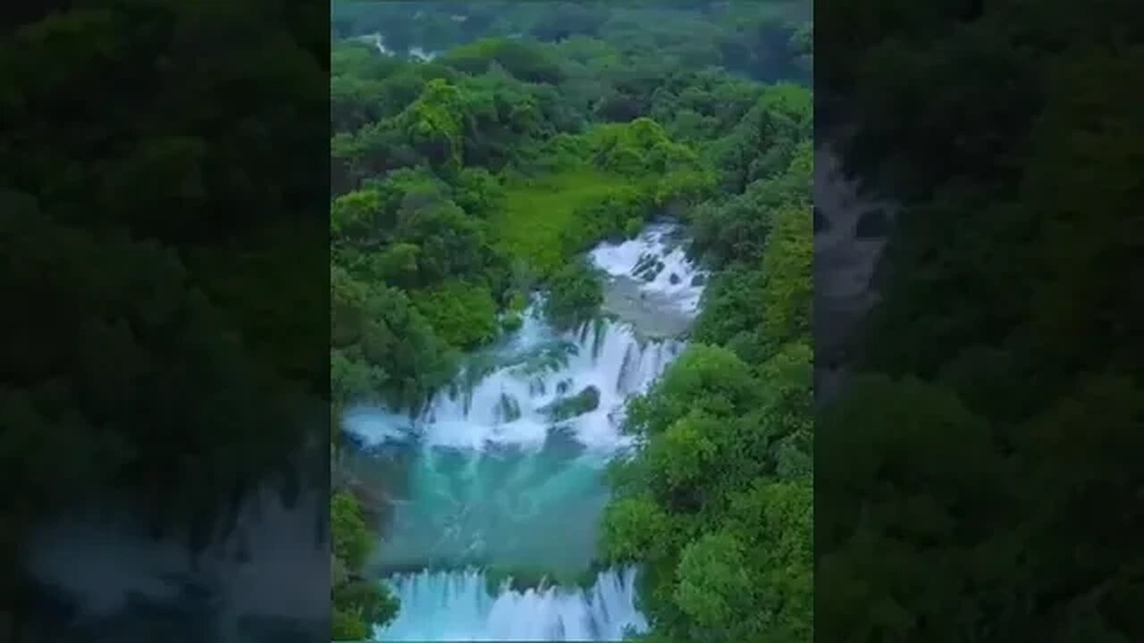 #naturelovers