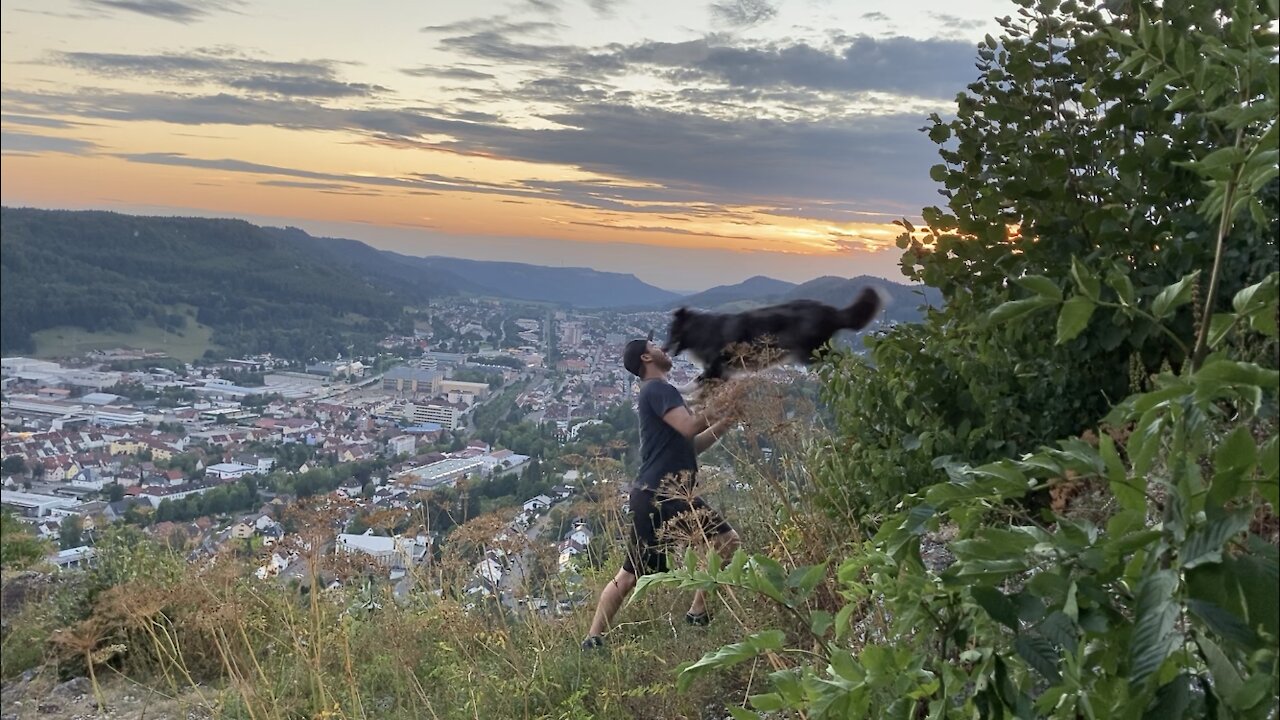 Australian Shepherd jumps into owners armes during sunset