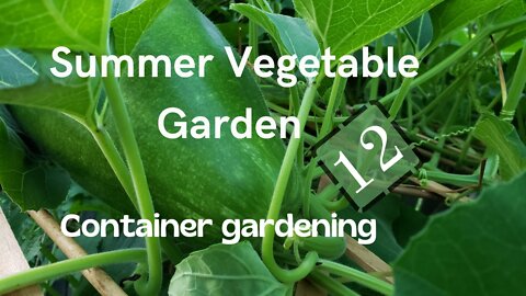 Summer Vegetable Garden #12 #gardening #garden #vegetablegarden