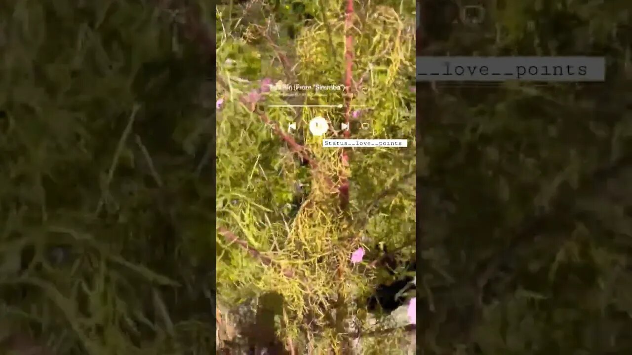 Tere bin 🥀✨#shorts #whatsappstatusvideo #whatsappstatus #hindi_love_whatsapp_status #lovestatus#lou