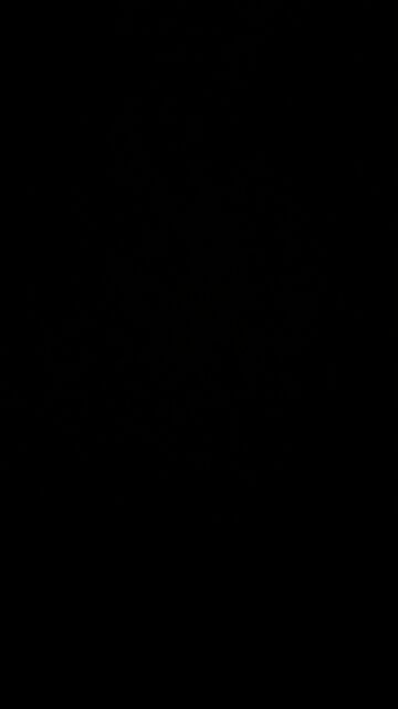 Carbon reduction through vaccination 💉