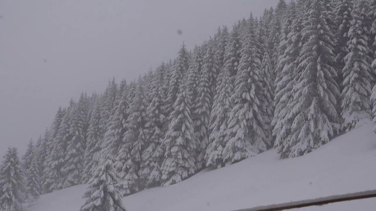 59 seconds of light winter rain. (asmr)