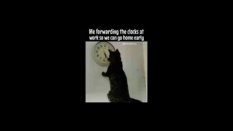 🤣