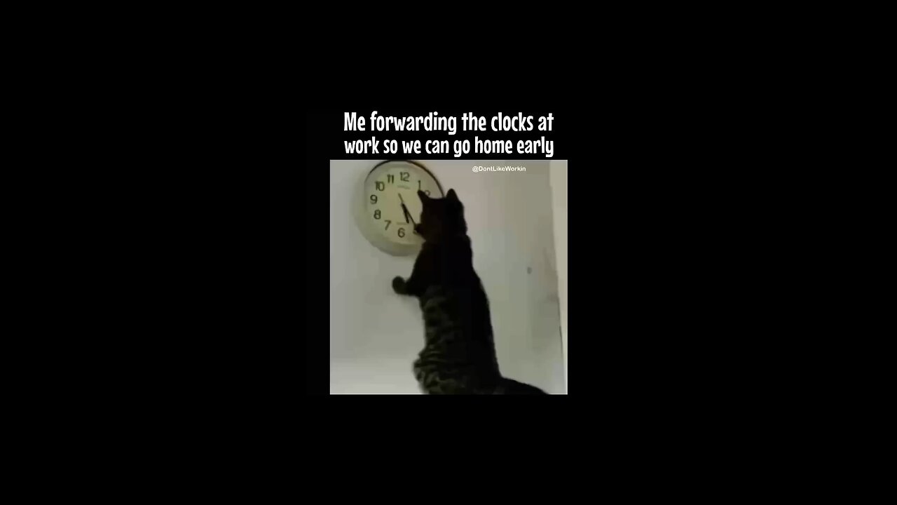 🤣