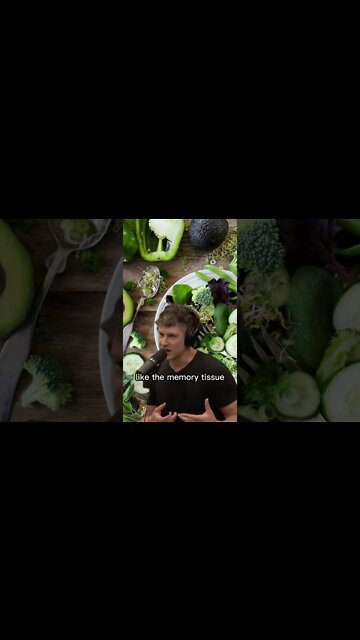 Vegan moms beware of your diet - Joe Rogan & Max Lugavere #vegan #health