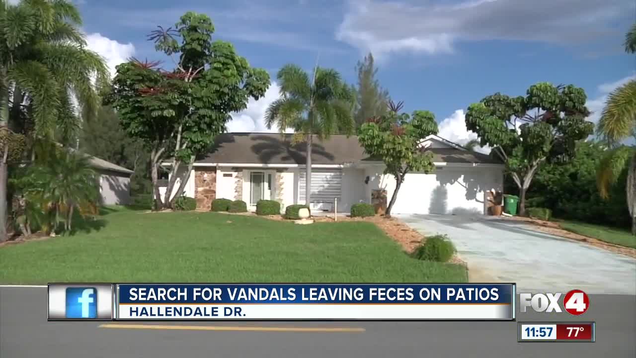 Search for vandals leaving feces on patios