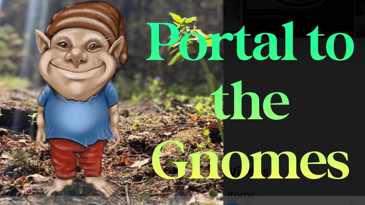 Portal to the Gnomes