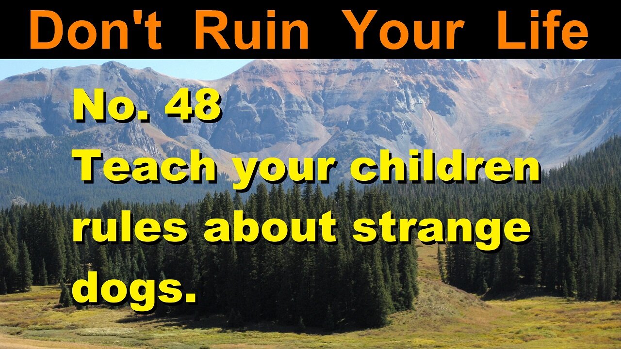 DRYL No. 48 -- Teach your children rules about strange dogs.