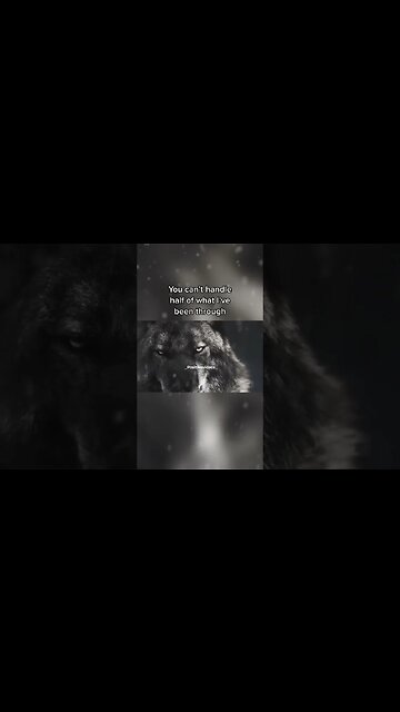 Positive Motivations - Wisdom Words