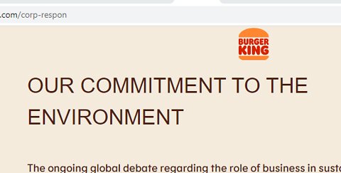 BURGER KING IS GOING GREEN BY OFFERING PLANT FOOD BUT NO MENTION OF THEIR DISPOSABLE OPERATION