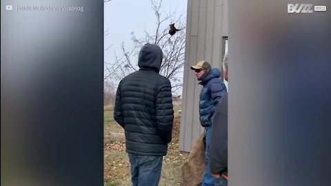 Un ourson secouru sur un arbre dans le Wyoming