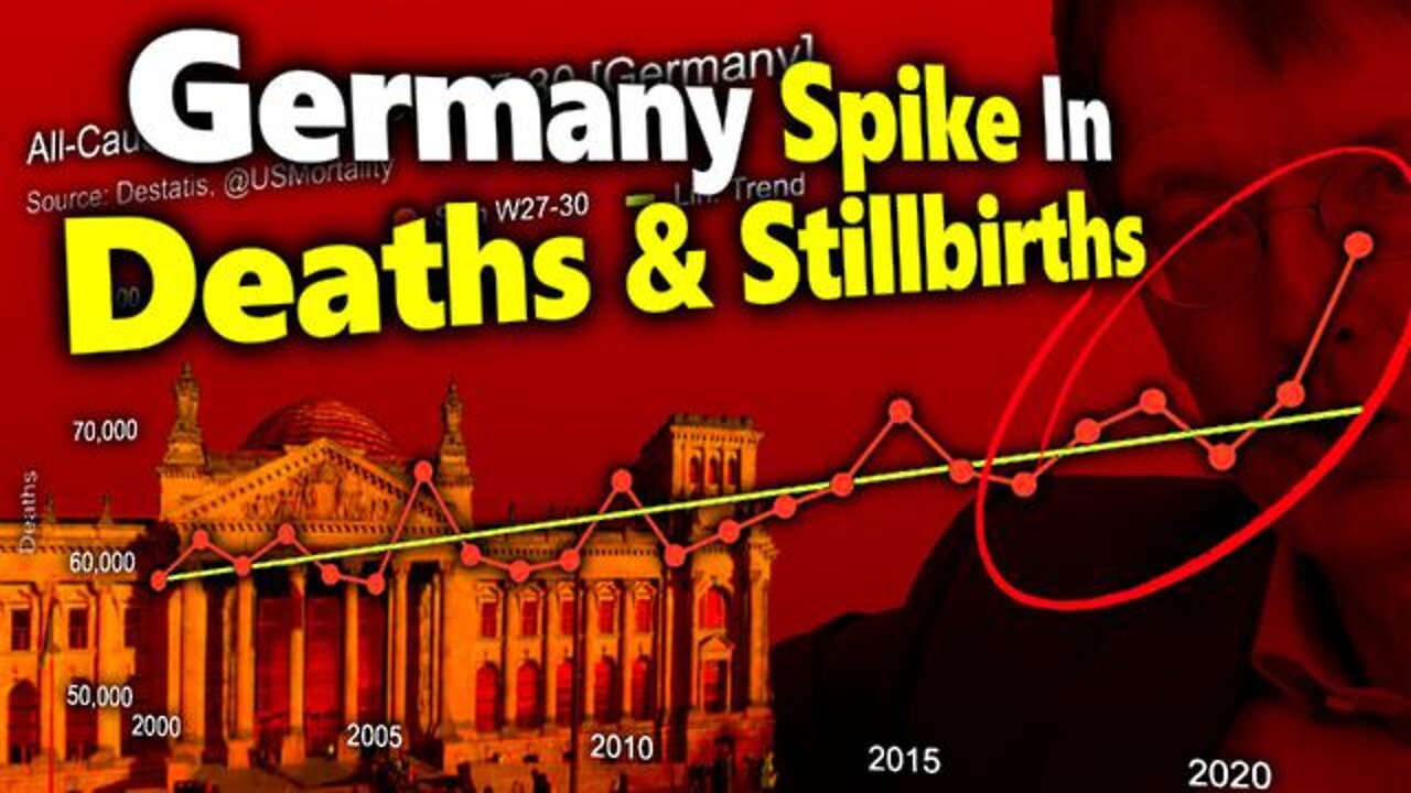 Tim Truth: Germany Excess Deaths Soar