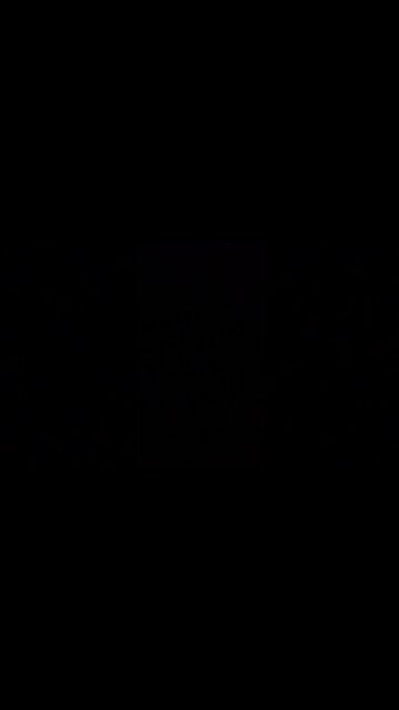 biz 101 vs. ramo retrac...