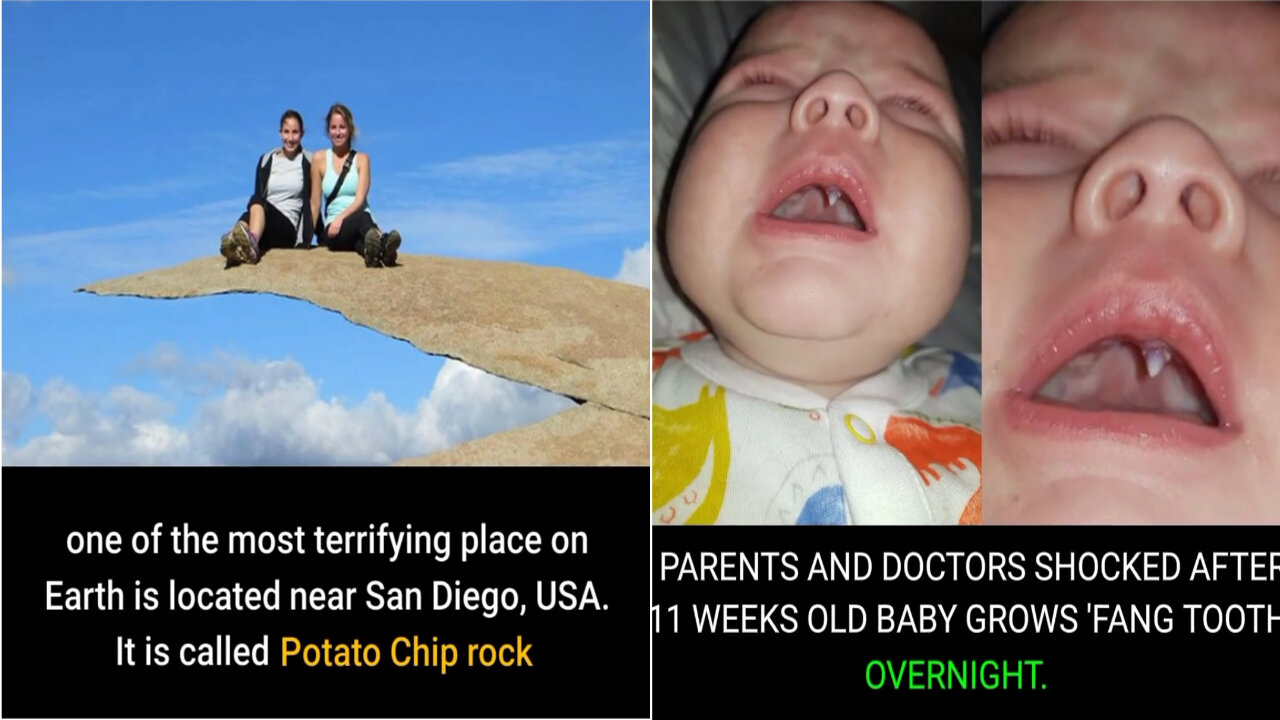 Did You Know Facts|Unknown Facts|Fun Facts|Amazing Facts|Wow Facts|Facts Part #13