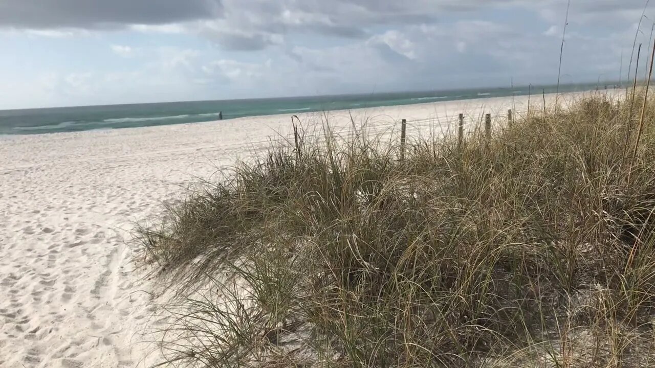 CLEANSING RAIN AT THE BEACH ASMR#asmrsounds #asmrantistress #antianxiety SOUND OF RAIN AT THE BEACH#