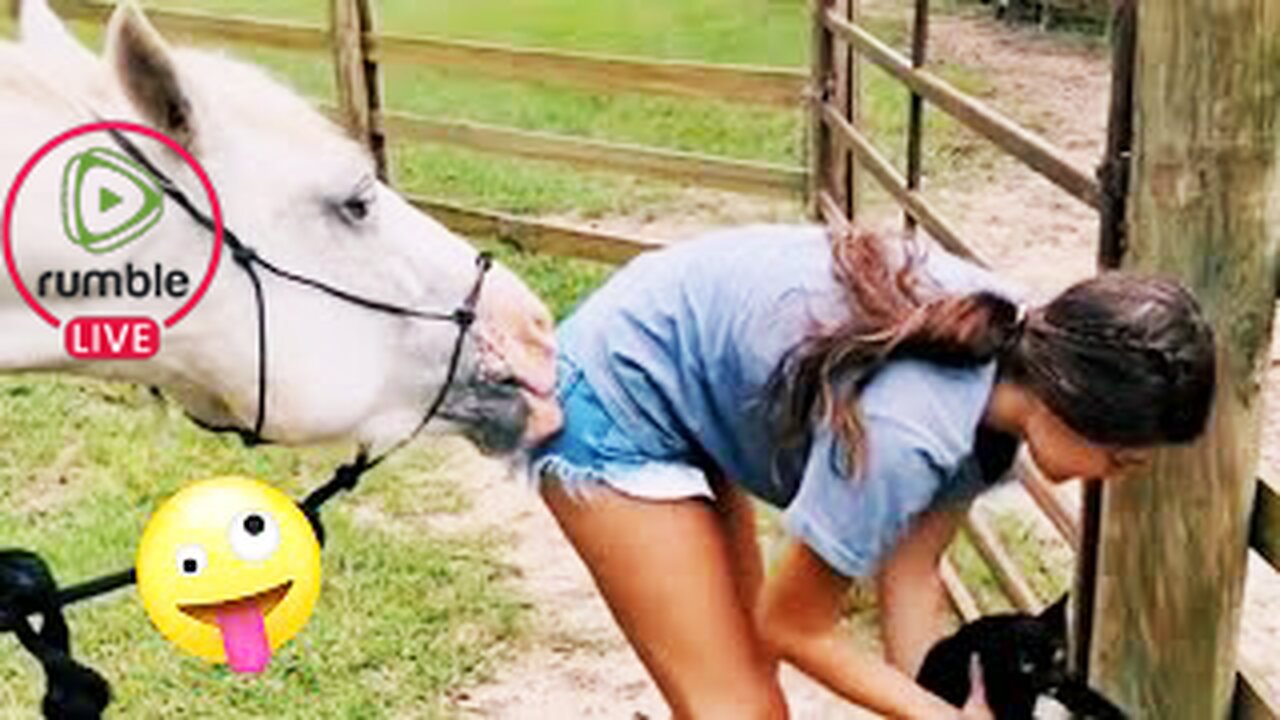 FUNNIEST Farm Animals! 😂 | Best Videos for families