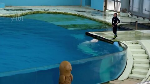 Beluga Whale Show At Yokohama Hakkeijima Sea Paradise