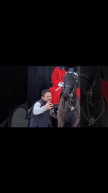 selfie with a smile #horseguardsparade