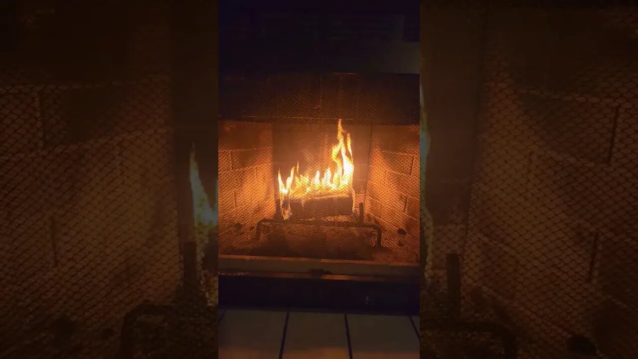 found a fire log for a $1