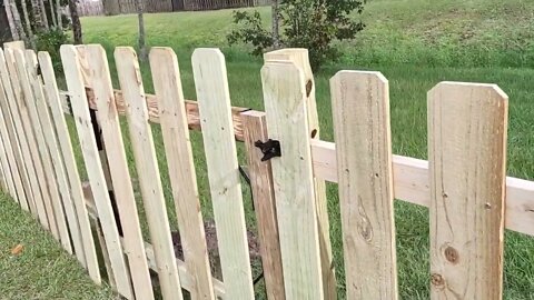 Backyard fence