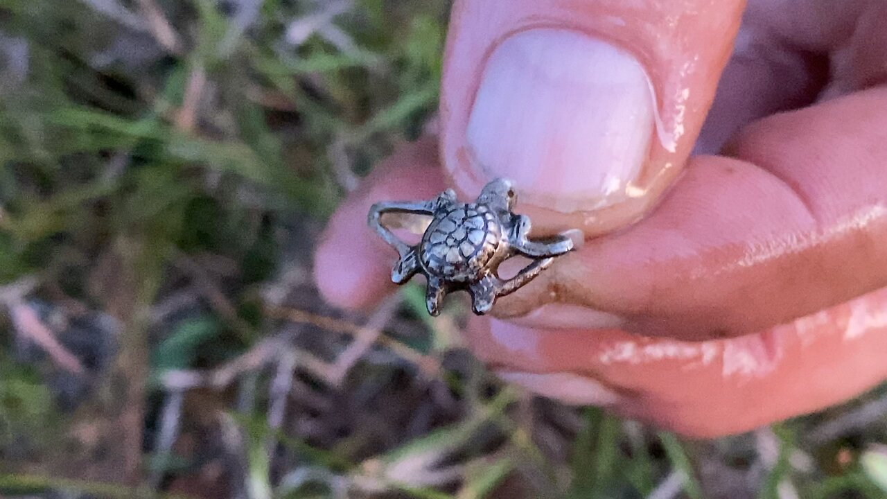 The Silver Turtle Metal Detecting