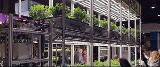 Marijuana business booming despite stigma