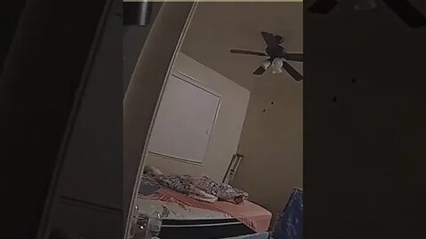 DAHLIA TWINS BODY CAM FOOTAGE BEG FOR LINDA TO BE ARRESTED TULSA OK