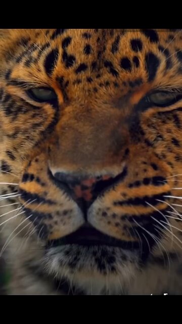 A wise man once said : know the difference between being a Good person and a Nice person.