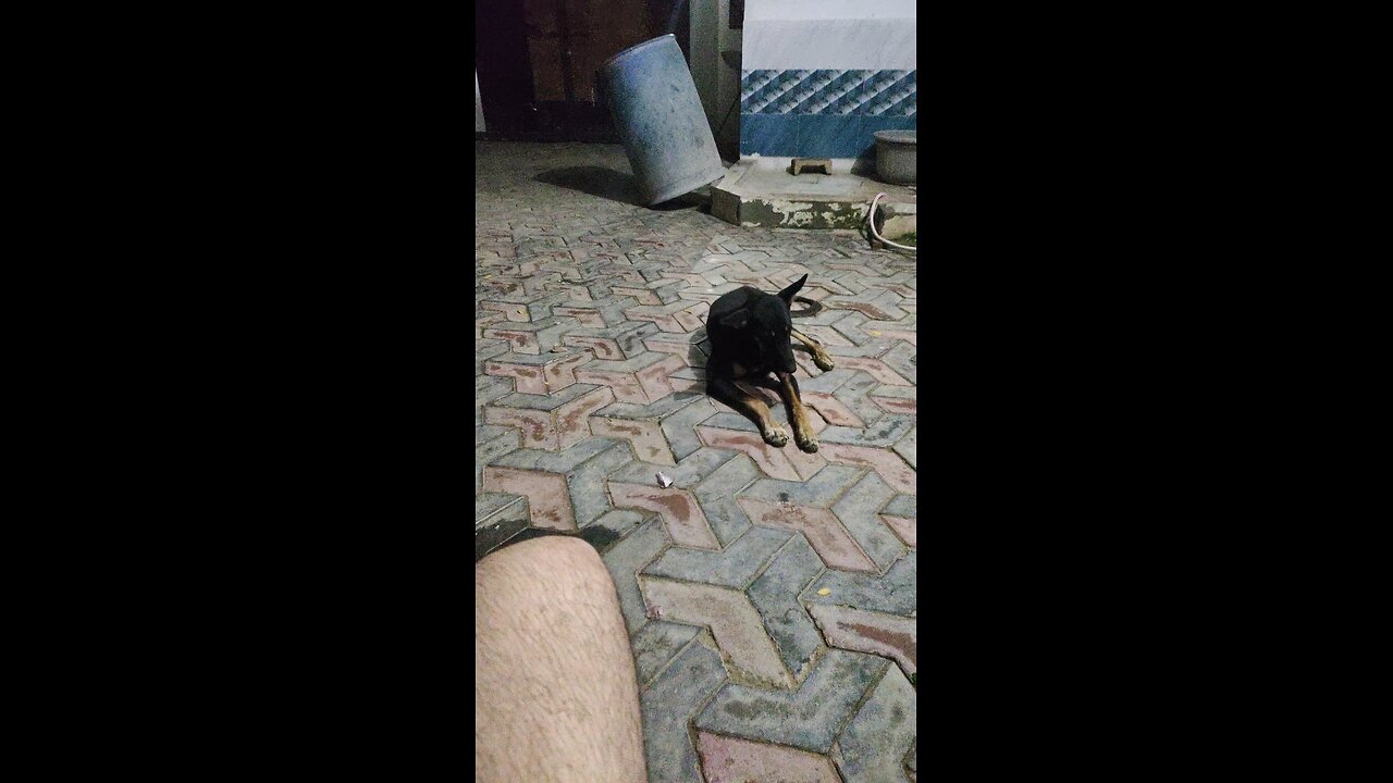 oie michi