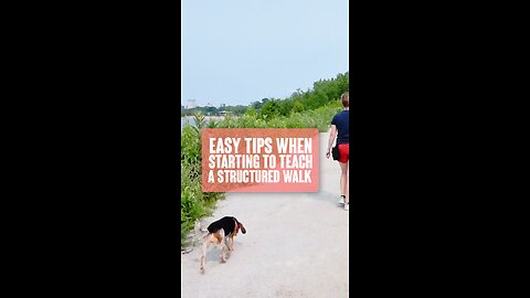 Easy Tips For The Best Walk!