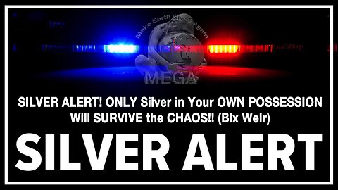 SILVER ALERT! ONLY Silver in Your OWN POSSESSION Will SURVIVE the CHAOS!! (Bix Weir)