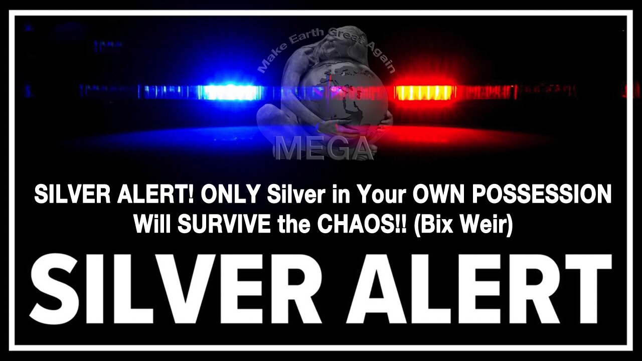 SILVER ALERT! ONLY Silver in Your OWN POSSESSION Will SURVIVE the CHAOS!! (Bix Weir)