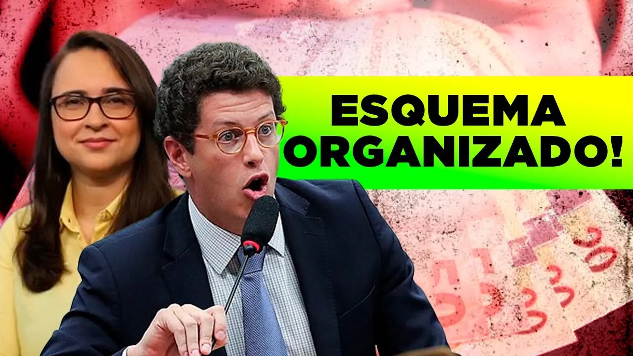 SALLES DENUNCIA ESQUEMA NA CPI DAS ONGS