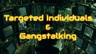 Targeted Individuals & Gangstalking Promo