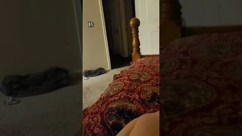 we got zoomies