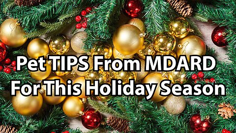 Pet TIPS From MDARD For This Holiday Season