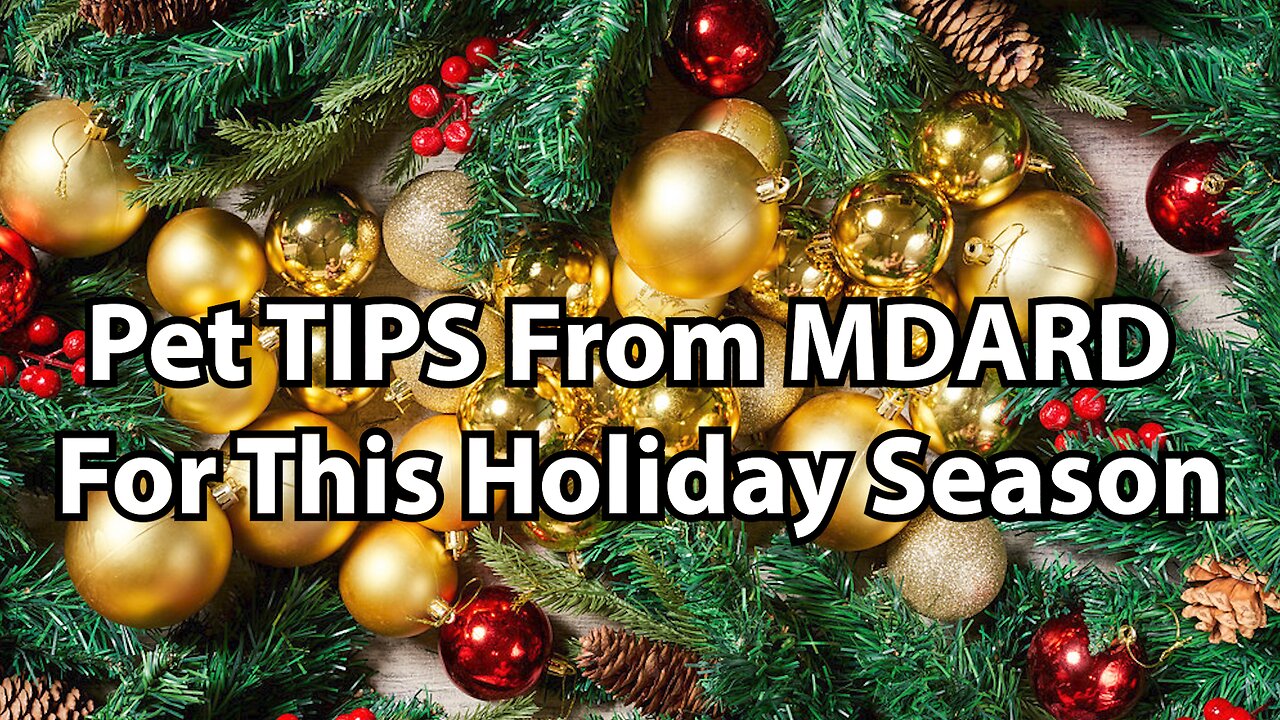 Pet TIPS From MDARD For This Holiday Season