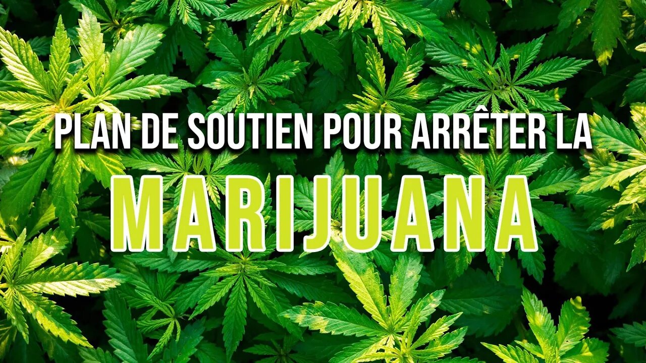 Plan de soutien pour arrêter la marijuana