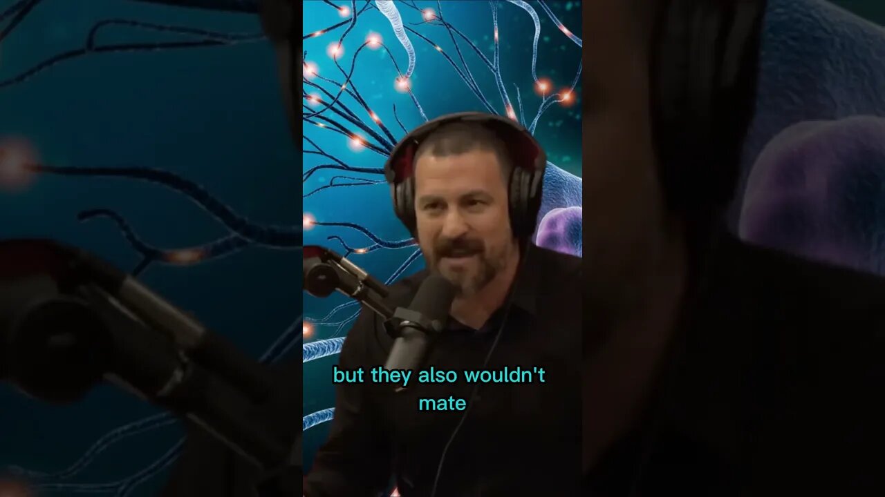 Aggregations in animals - An interesting study about The Hypothalamus - Joe Rogan & Andrew Huberman
