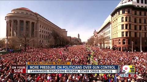 More pressure on politicians over gun control