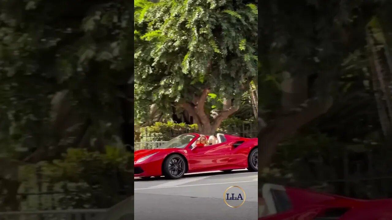 Luxury Cars, Luxury Lifestyle | SHE & FERRARI #shorts #luxury #car