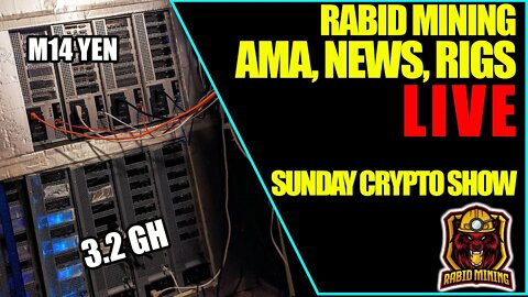 Sunday Crypto Show #15 | RIG Pics, AMA, Crypto Chat